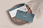 PSD dl envelope mockup