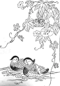 鸳鸯图 - 小红书