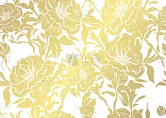 黄金,花纹,华丽的,请柬,纺织品,华贵,壁纸,模板,现代,春天