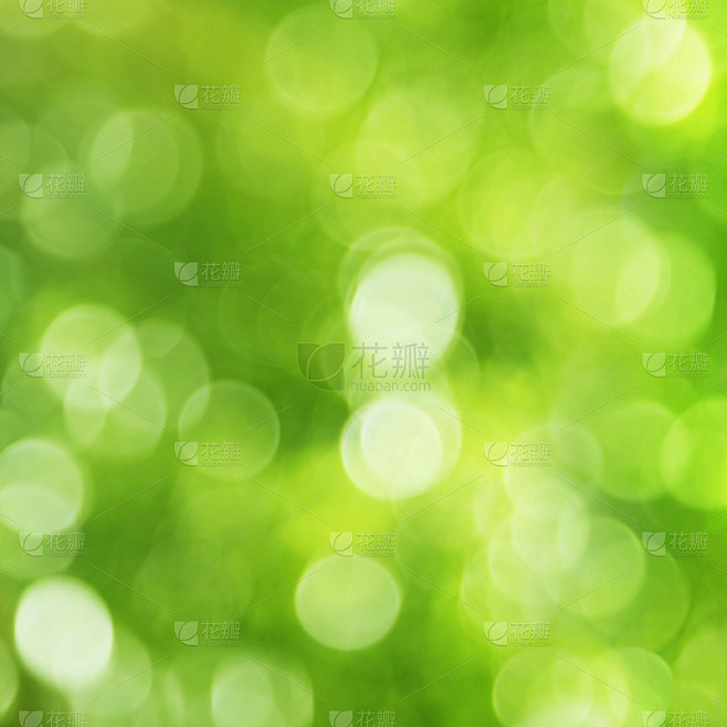 绿色,森林,背景,背景虚化,自然,枝繁叶茂,无人,色彩鲜艳,散焦,抽象