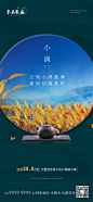 小满