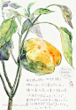 x_large_XZyQ_043d00005c391262.jpg (400×576)