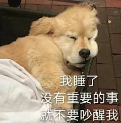 狗狗表情包
我睡了，没有重要的事就不要吵醒我