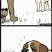 【图片】#漫画# 役军犬和小猫咪的漫画，最后一张是据说原型，超级可爱了，简直被暖哭了[心]#动漫# 【动漫资深迷妹吧】_百度贴吧