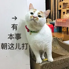采集图片