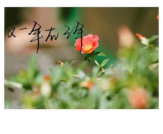 （店铺）FAIRYTOWN_手写吧_百度...