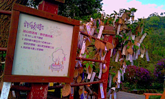 助人为乐先生采集到运营业态