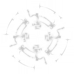 white白空空采集到照片