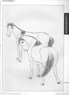 废柴少女采集到动物线描稿