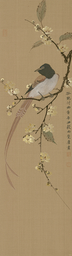 郑进伟采集到124