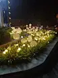 芦苇灯～景观氛围组 - 小红书