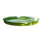 植物、盆栽、盆景png-更多素材尽在@没有故事的七月