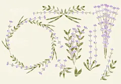 薰衣草素材  - 源文件下载【酷图网】卡通薰衣草,薰衣草图案,卡通,素材,元素,矢量,可爱,薰衣草素材,手绘,插画,清新,印花,图案,简约,时尚,薰衣草,花卉,鲜花,春季,夏季,春天素材,夏天素材,花,花朵,薰衣草插画,插图,花素材,节日素材,插花,图标,标志,logo,包装,卡通花朵,卡通花,花朵素材,花艺,园艺,水彩,紫色,花环