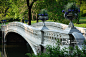 The famous Bow Bridge in Central Park on an early morning in spring正版图片素材