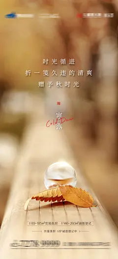 寒露节气海报-志设网-zs9.com