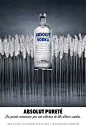 ABSOLUT PURITY : 2012 version for the Absolut Purity campaign.