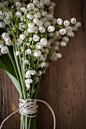 lily -of-the-valley. Reminds me of my papa and my childhood. I must have these in my bouquet someday :)