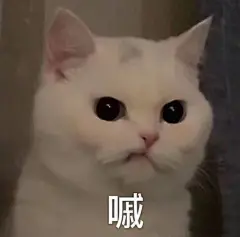 (9 封私信 / 73 条消息) 有哪些可爱的表情包? - 知乎 : 更新更新小新海绵宝宝猪猪皮卡丘熊熊乱七八糟更身为表情包大佬，肯定是要沙雕笑疯，怼人骂死，撩汉甜炸！…
