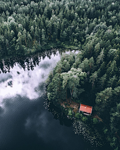 恋上紫菀花采集到风景