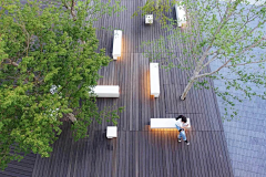 萧尘nora采集到花海景观
