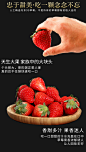 丹东99草莓九九红颜奶油大草莓新鲜抖音网红黑金版礼盒装送礼圣诞-tmall.com天猫
