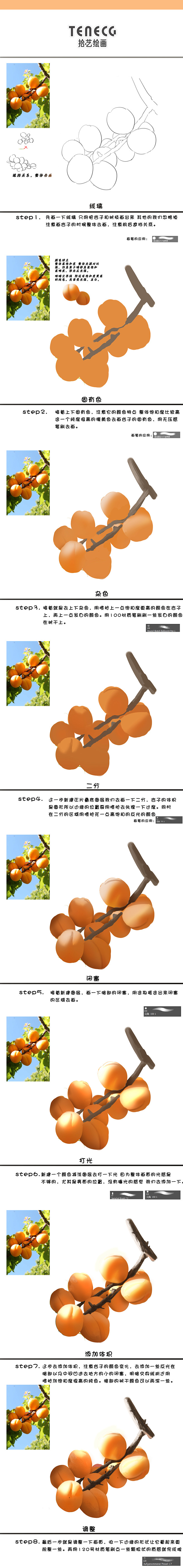 杏子