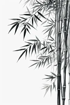 植物插画中国风竹子竹林自然风景插画