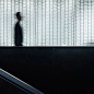 cover_image