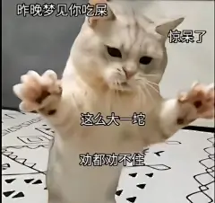 发给对象的表情包_05