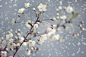 Early Spring. by Dmytro Tolokonov - Photo 22704547 - 500px