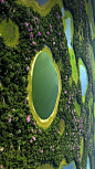 潘塔纳尔湿地，巴西 (© Lucas Leuzinger/Shutterstock)
潘塔纳尔湿地是世界上最大的湿地，地势平坦而略微有所倾斜，并拥有众多曲折的河流。这个湿地生态系统拥有超过3500种植物、超过650种雀鸟、超过400种鱼类，这里也是蓝紫金刚鹦鹉的家园。另外，潘塔纳尔湿地是天然的水质处理设备，具有强大的沉积和净化作用，可以分解有毒物质。
2018-05-30
南美洲, 巴西, 潘塔纳尔湿地