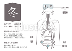 炽翼飞龙采集到医疗