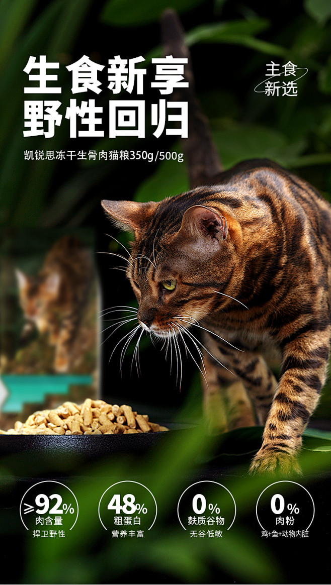 凯锐思 猫咪冻干生骨肉猫粮幼猫成猫咪鲜肉...