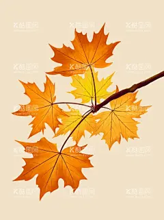 秋天素材  - 源文件下载【酷图网】枫叶,枫叶图案,枫叶图片,枫叶素材,枫叶元素,枫叶图标,枫叶小图标,枫叶底纹,枫叶背景,枫叶设计,秋天,秋天元素,秋天素材,秋天枫叶,落叶,落叶素材,落叶图案,红枫叶,相册素材,枫叶插画,插画元素,落叶插画,叶子,叶子图案,叶子素材,你好秋天,枫叶林,一片枫叶,一片叶子,一片落叶,秋天落叶