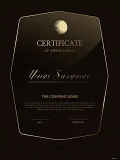 几何边框 授权证书 任命书 荣誉证书 简约 亚克力 证书卡片名片平面设计