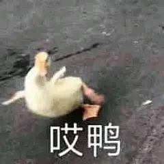 有哪些万能的表情包推荐？ - 知乎 : 是指一个表情包什么时候都可以用，比如说一张图，开心的时候用可以，自闭时用可以，无语时用也可以，可以…