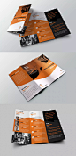 Grow Tri-Fold Brochure Template PSD