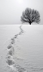 Just over the hill. S): 