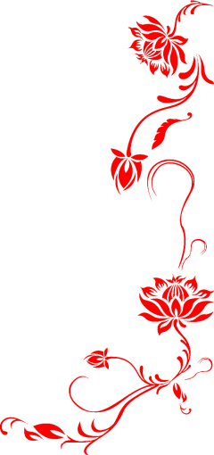 喵唧唧唧唧桑采集到待归类采集