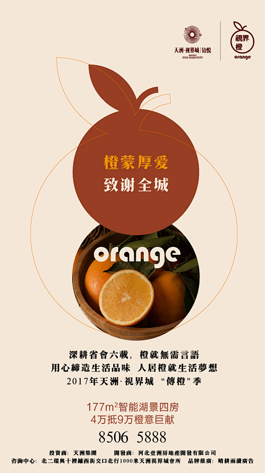 橙子季微信 (6)