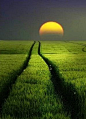 . : : Stunning Nature : : . / Field of Dreams !!!!! | See more Amazing Snapz