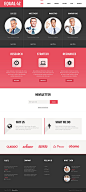 Website Template #47528