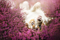 dog-photography-alicja-zmyslowska-23