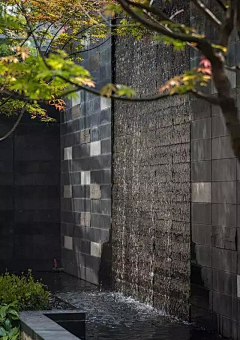 luelueler采集到餐厅改造