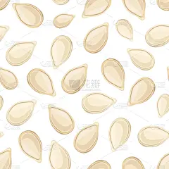 用南瓜种子的无缝模式。矢量图.