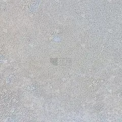 灰色纹理背景