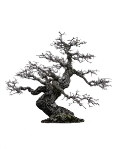 枯树光秃秃树枝树干荒芜剪影后期合成PNG免抠透明背景设计PS素材