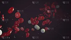 红细胞和白细胞在血液中流动