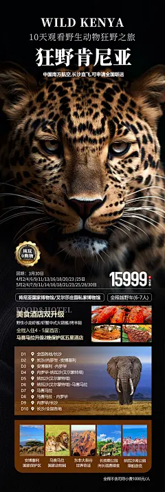 非洲肯尼亚旅游海报-设计素材-shejisc.cn