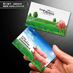 养猪场名片模板下载 
http://mp.ltpic.cn/d_335141.html